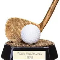 Fairway Golf Iron Award 100mm