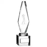 230mm 3D Golf Male Glass Award