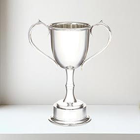 Large Bullet Trophy 255mm
