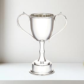 Medium Bullet Trophy 22cm