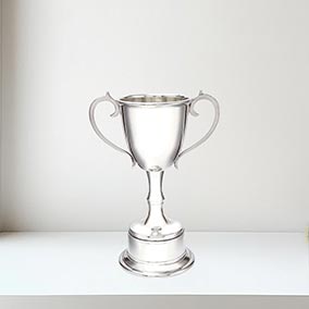Small Bullet Trophy 20cm
