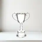 Small Bullet Trophy 20cm