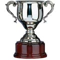 The Heritage Cup 19cm