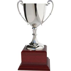 Medium Silver Golf Cup 24.5cm