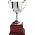 Small Silver Cup 15cm