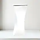 Large Tango Trophy 300mm
