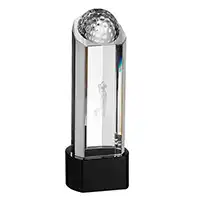 6.25in Laser Golfer Crystal Award