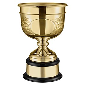 Chased Leaders Gold Golf Cup 14in