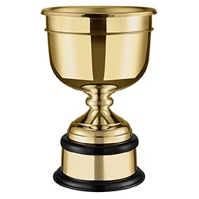 Plain Leaders Gold Gold Golf Cup 14in