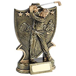Male Golfer Trophy 16cm