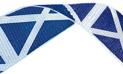 Scotland Flag Medal Ribbon 54p