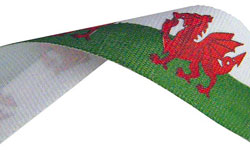 Wales Flag Medal Ribbon 65p