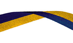 Blue & Gold Medal Ribbon 49p