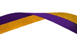Purple & Gold Medal Ribbon 56p