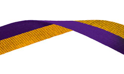 Purple & Gold Medal Ribbon 54p