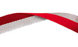 Red & Grey Medal Ribbon 49p