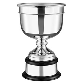 Plain Leaders Golf Cup 14in