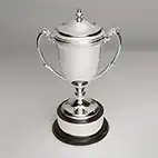 Silver Plated Cup Trophy 9.5in