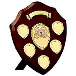 Gold Shield 20cm