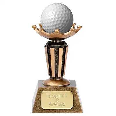 Golf Ball Display Case - Quality Hole in One Trophy