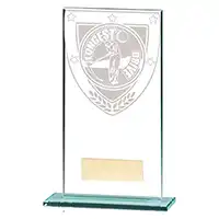 Millenium Glass Longest Drive Award 160mm