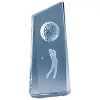 Wisdom Golfer Award 180mm