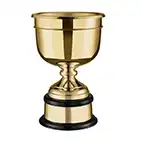 Plain Leaders Gold Golf Cup 14in