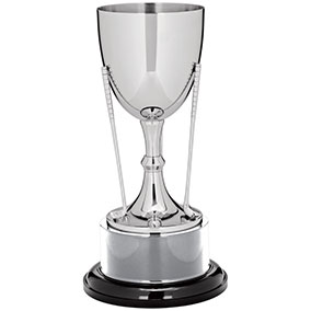 Elite Nickel Golf Clubs Cup 290mm