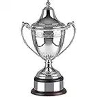 The Ultimate Celtic Cup 20in