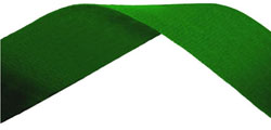 Green Medal Ribbon 54p