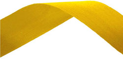 Yellow Medal Ribbon 49p