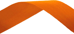 Orange Medal Ribbon 54p