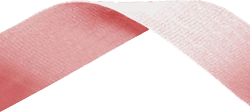 Pink Medal Ribbon 54p