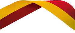 Red & Gold Medal Ribbon 54p