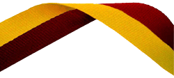 Maroon & Gold Medal Ribbon 54p