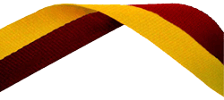 Maroon & Gold Medal Ribbon 49p