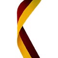Maroon & Gold Medal Ribbon 54p