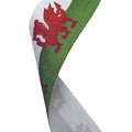 Wales Flag Medal Ribbon 49p
