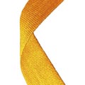 Gold Medal Ribbon 49p