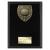 Cobra Nearest the Pin Plaque 175mm - view 1