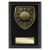 Cobra Golf Winner Plaque 125mm - view 1
