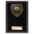 Cobra Golf Winner Plaque 150mm - view 1
