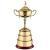 Match Play Gold Cup 17.5in - view 1