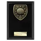 Cobra Golf Winner Plaque 150mm