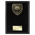 Cobra Golf Winner Plaque 175mm