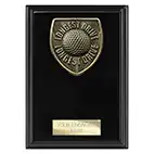 Cobra Longest Drive Plaque 150mm